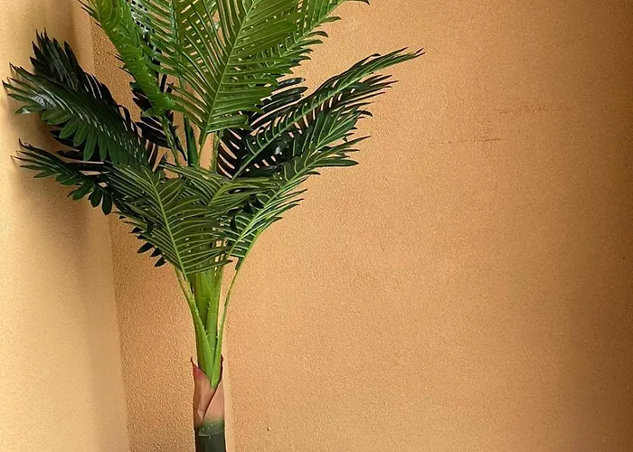 K.k Elenite Astoria 5 * Свети Влас