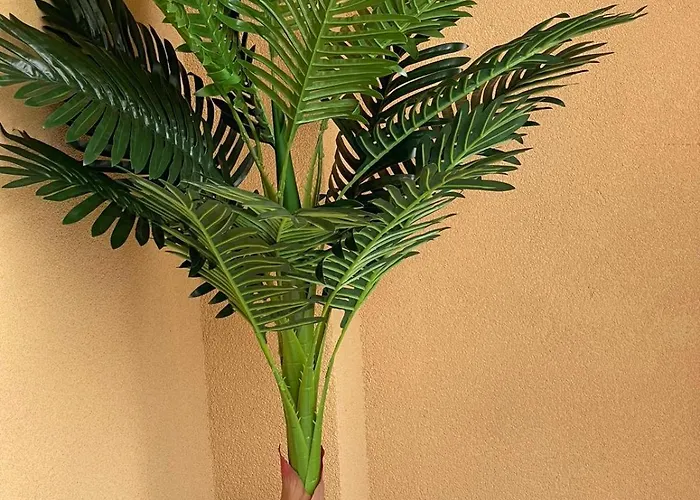 K.k Elenite Astoria 5 Свети Влас